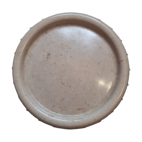 Beurrier allemand blanc