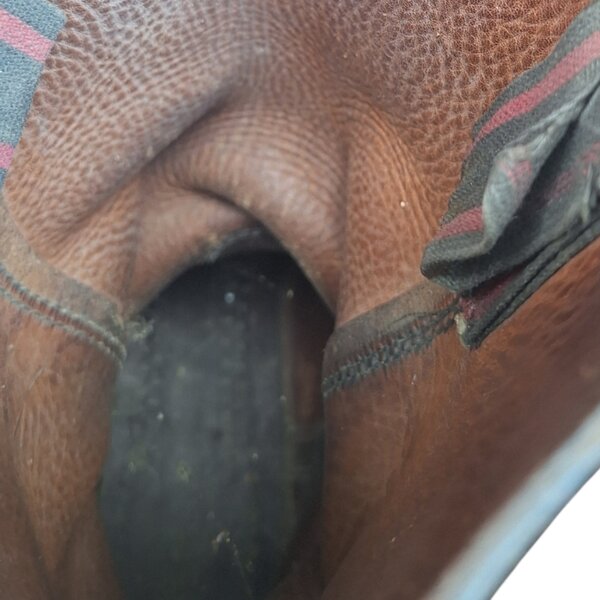 Paire de bottes Allemande WW1