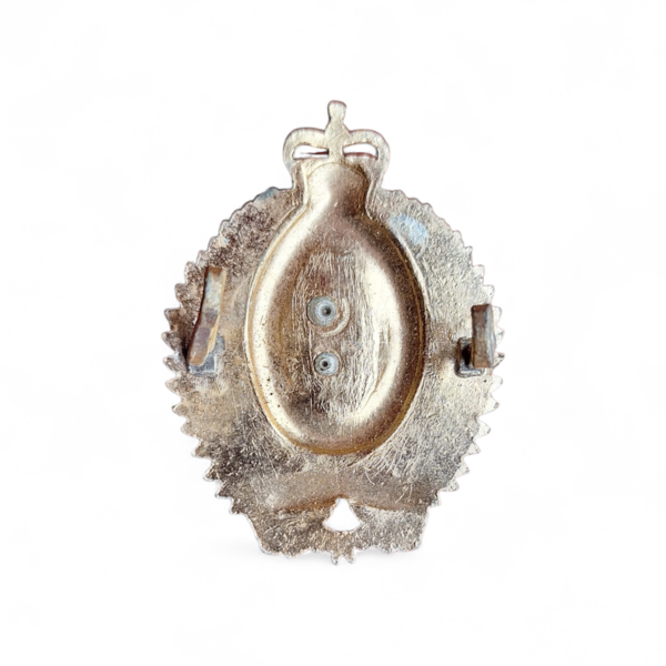 Insigne Nouvelle Zelande