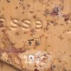 German WW2 “Wasser” Jerrycan