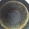 German WW2 gas mask